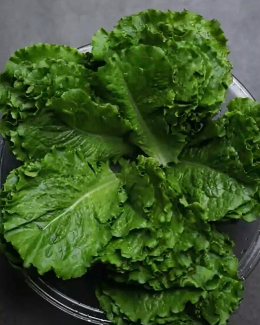 Fresh, vibrant green lettuce leaves piled inside a glass bowl after being washed.