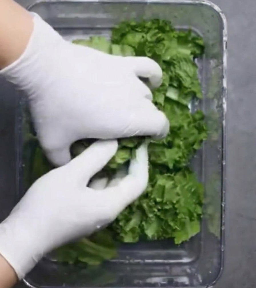 Gloved hands arranging cut lettuce leaves inside a clear rectangular food storage container.