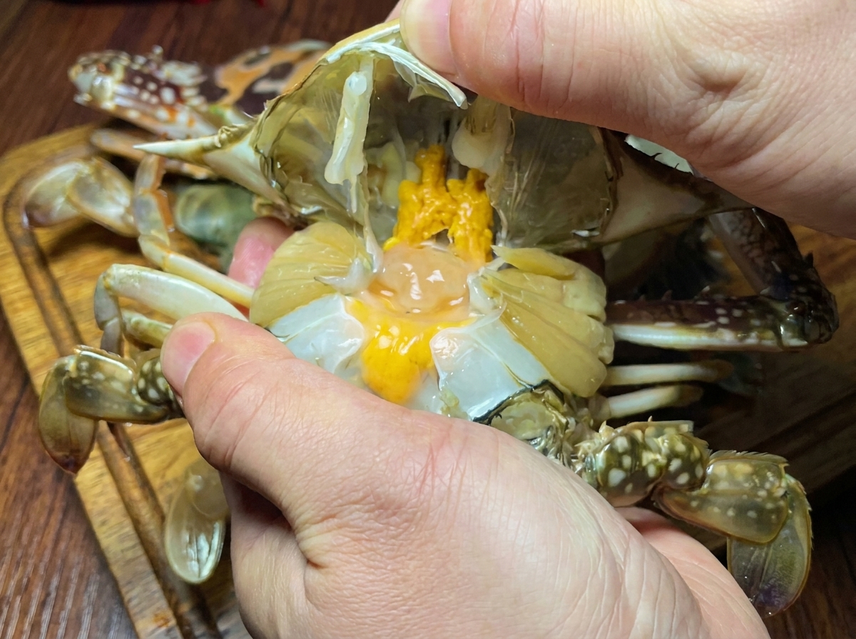 A close-up view of a pair of hands cleaning a raw crab by removing its shell and gills.