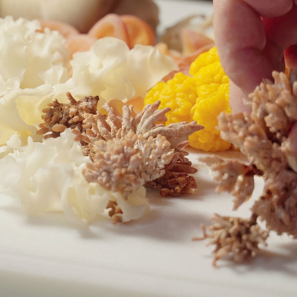 A close-up view of Dragon Claw mushrooms being separated into smaller pieces by hand on a white surface.
