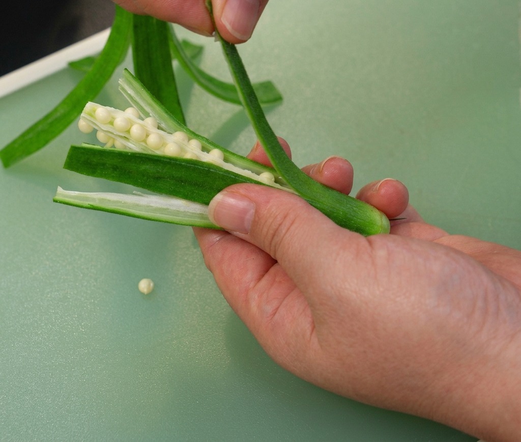 Close-up of hands pulling the seed-filled core out from the center of a sliced okra pod.