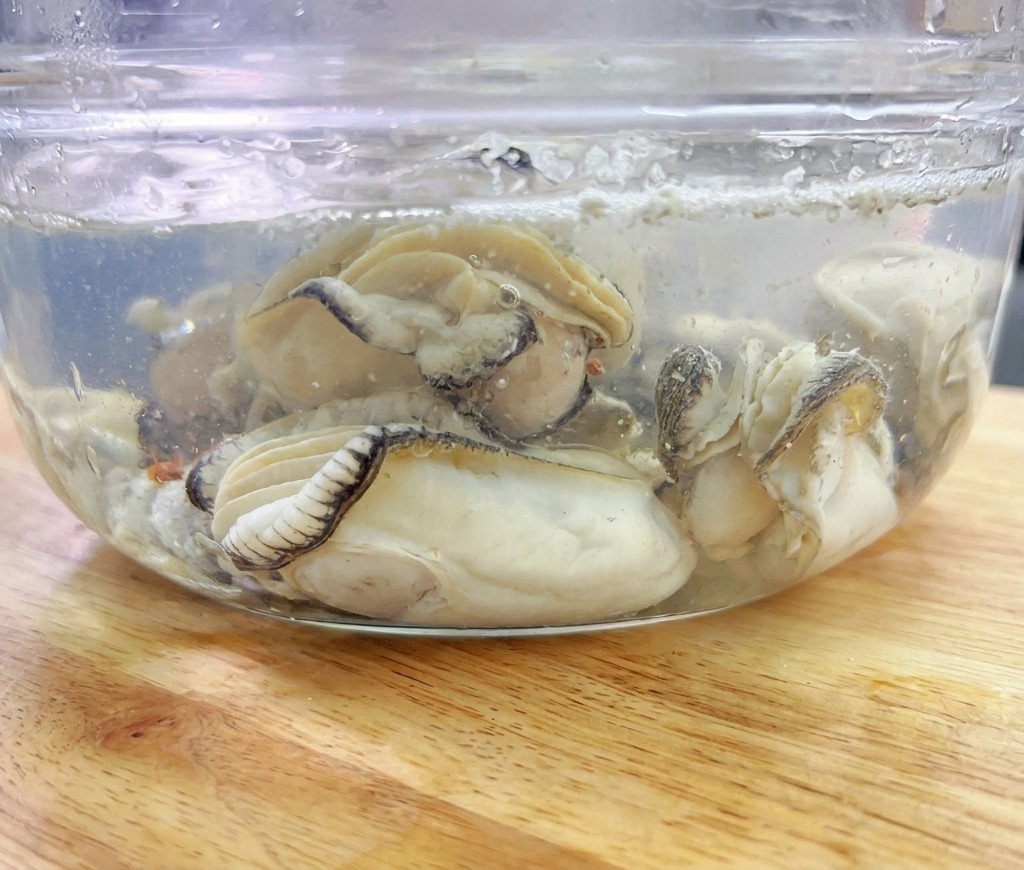 Several blanched oysters are submerged in a glass bowl filled with clean, cold water.