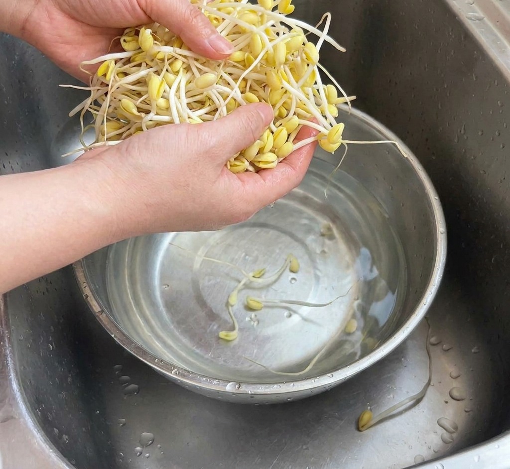A persons hands rinsing a large bundle of yellow and white bean sprouts in a stainless steel bowl under a kitchen faucet.