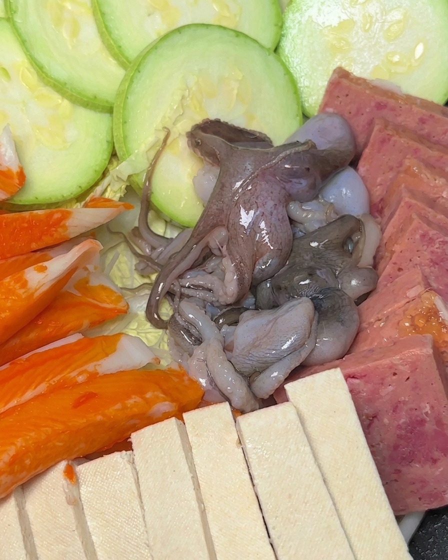 A close-up view of a pot filled with neatly arranged raw ingredients including zucchini, spam, tofu, crab sticks, and raw octopus.
