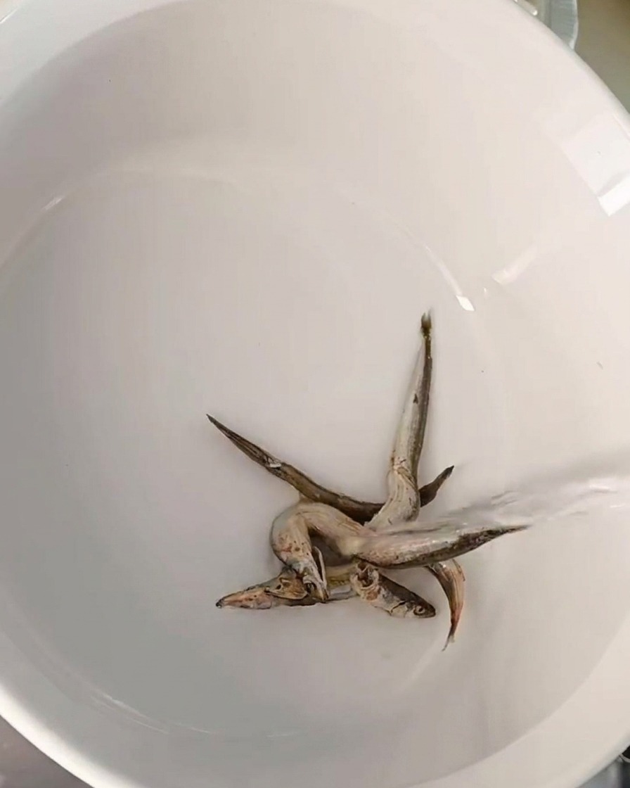 Several small dried anchovies resting at the bottom of a white ceramic pot as water is being poured in.