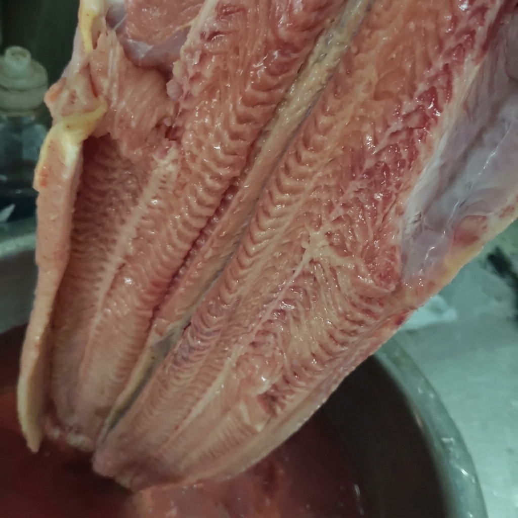 A large piece of raw catfish being lifted out of a bowl of reddish water.