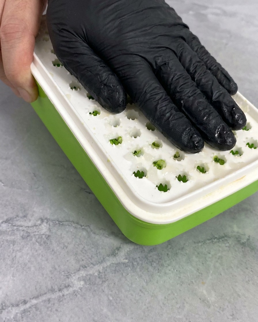 A hand in a black glove grating a piece of white daikon radish on a manual grater with a green base.