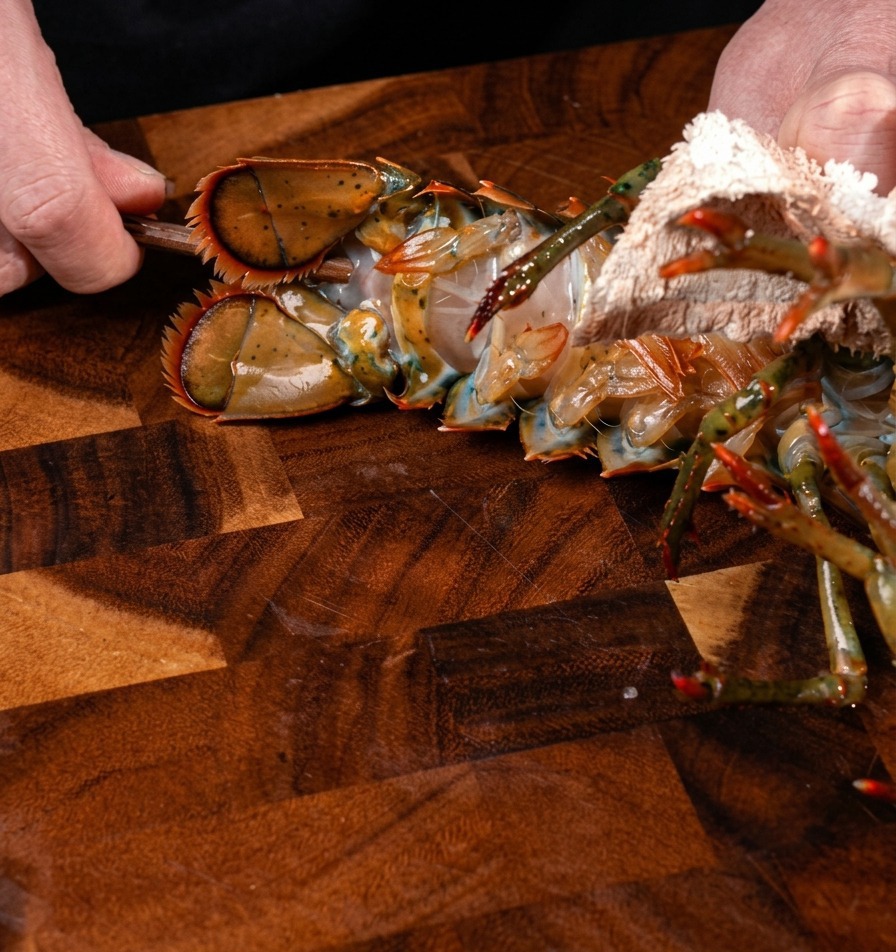 A lobster being placed into a pot of boiling water.