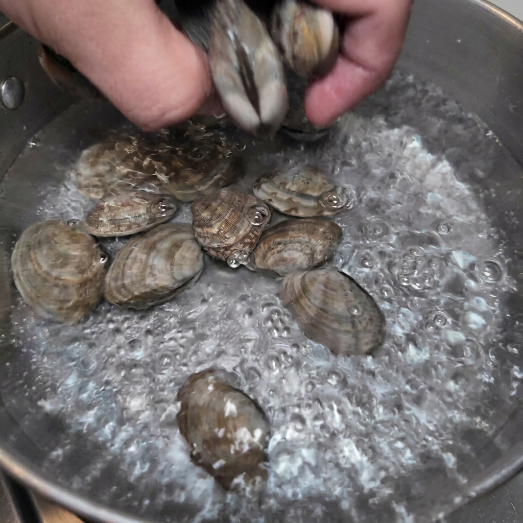 A hand dropping fresh clams into a pot of rapidly boiling water.
