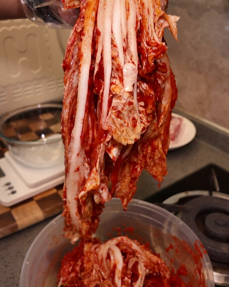 A large, uncut piece of bright red sour kimchi being lifted by a gloved hand.