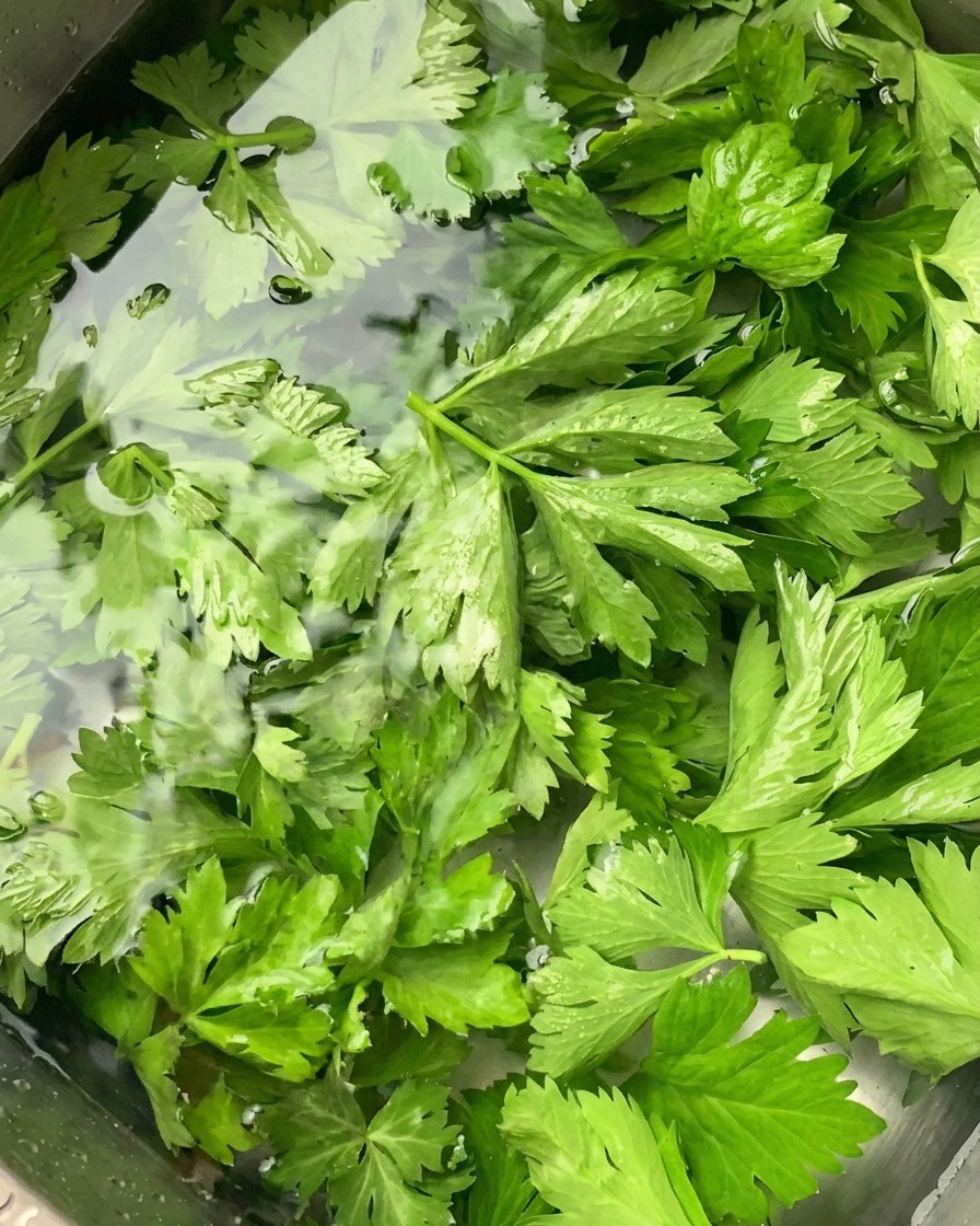 Fresh green celery leaves soaking in a pool of clear water inside a stainless steel kitchen sink.