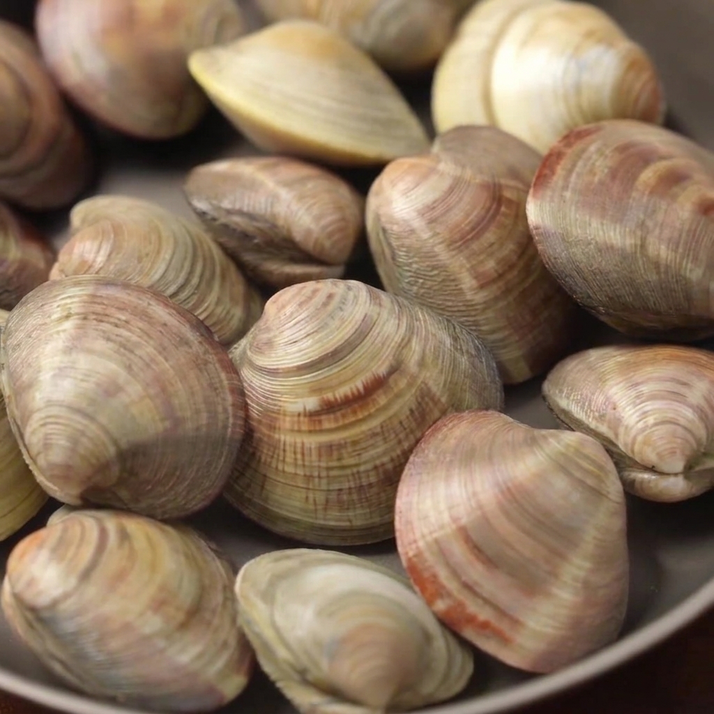 Clams cooking in a pot filled with water, lemon slices, and white wine over medium heat.