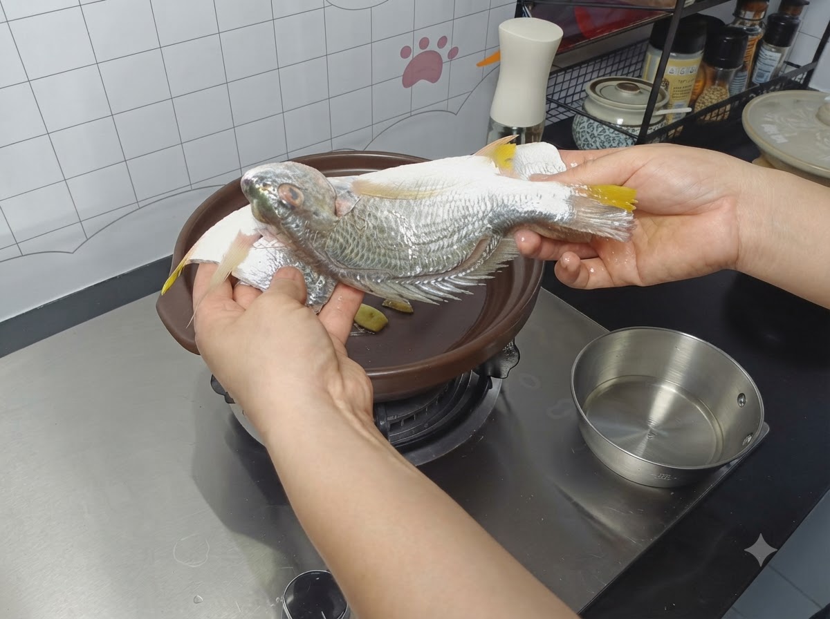 A seasoned whole fish being placed into a clay pot over ginger slices.
