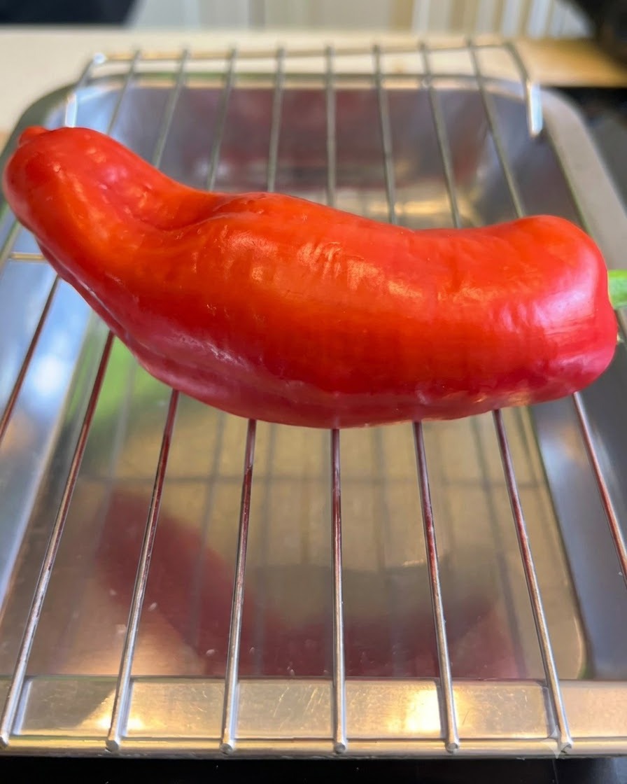 A red bell pepper being evenly torched on a wire rack.