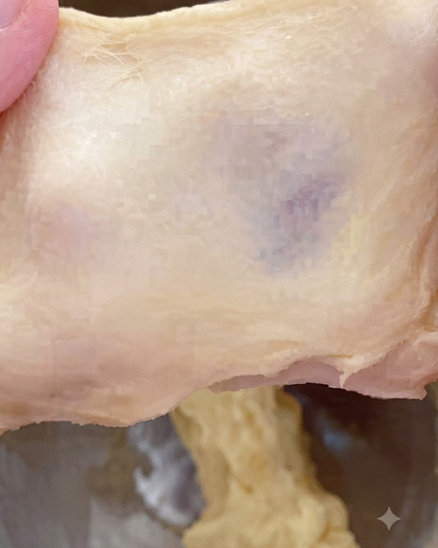 A piece of dough being stretched to show a thick, slightly rough texture and tearing pattern.