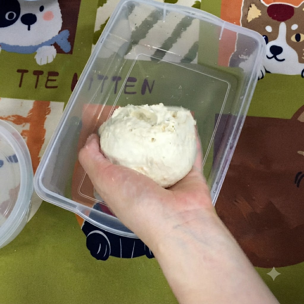 A hand placing a smooth round ball of dough into a rectangular plastic crisper container.