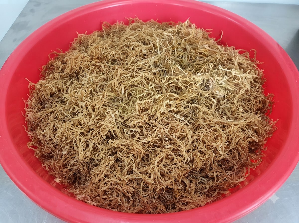Cooled broth poured into the radish and spice mixture while being mixed by hand in a red basin.