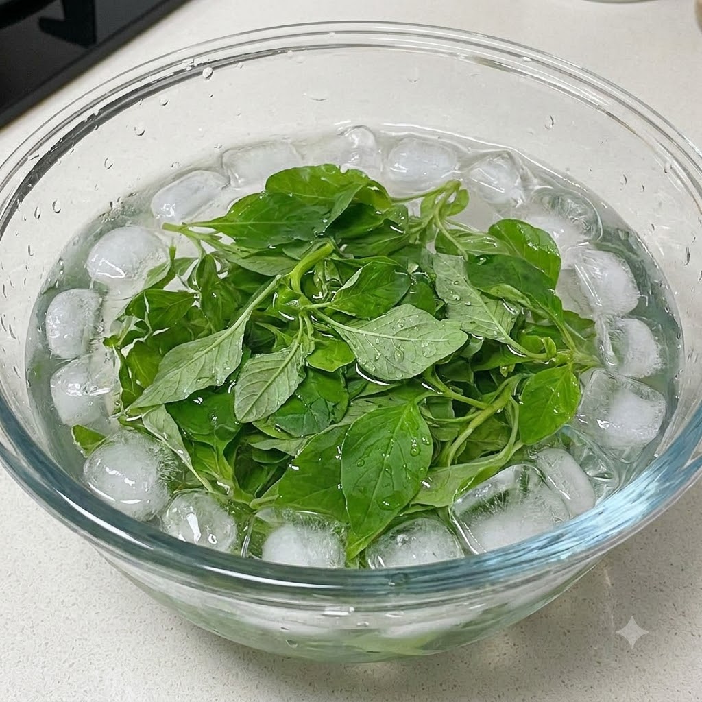 Fresh basil leaves cooling in a bowl filled with ice water.